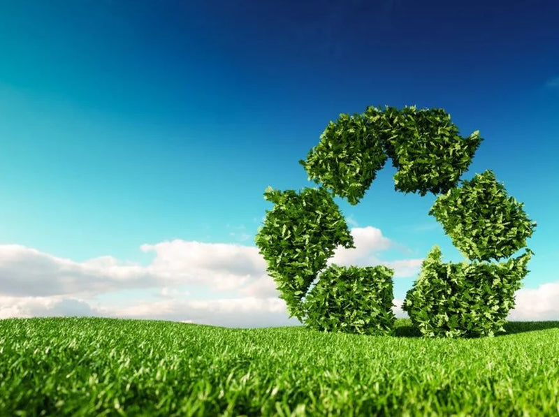 Engagés en faveur du développement durable