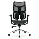Doro S100 Chaise de bureau ergonomique