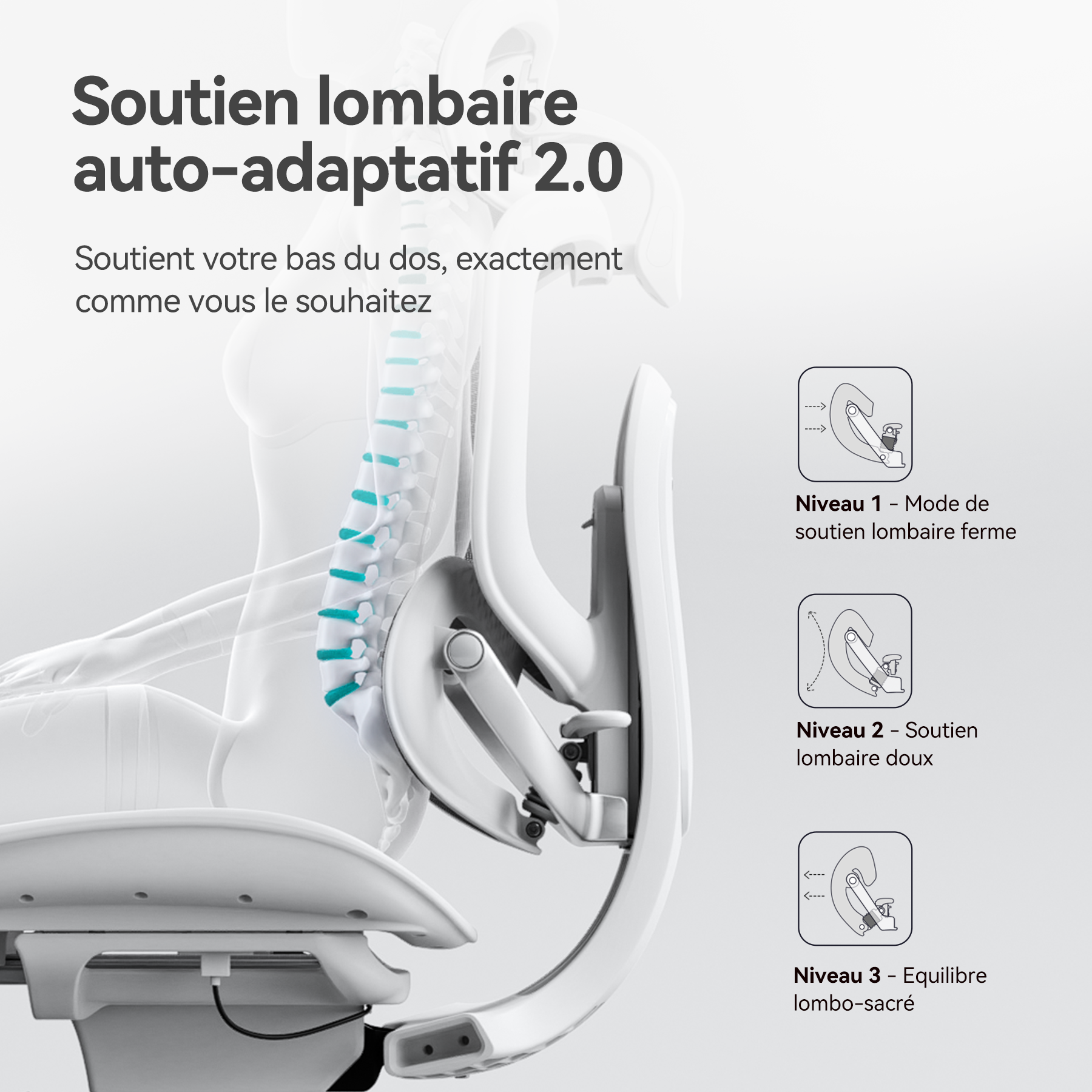 Doro C300 Ultra V2 – Chaise ergonomique à soutien intégral en apesanteur