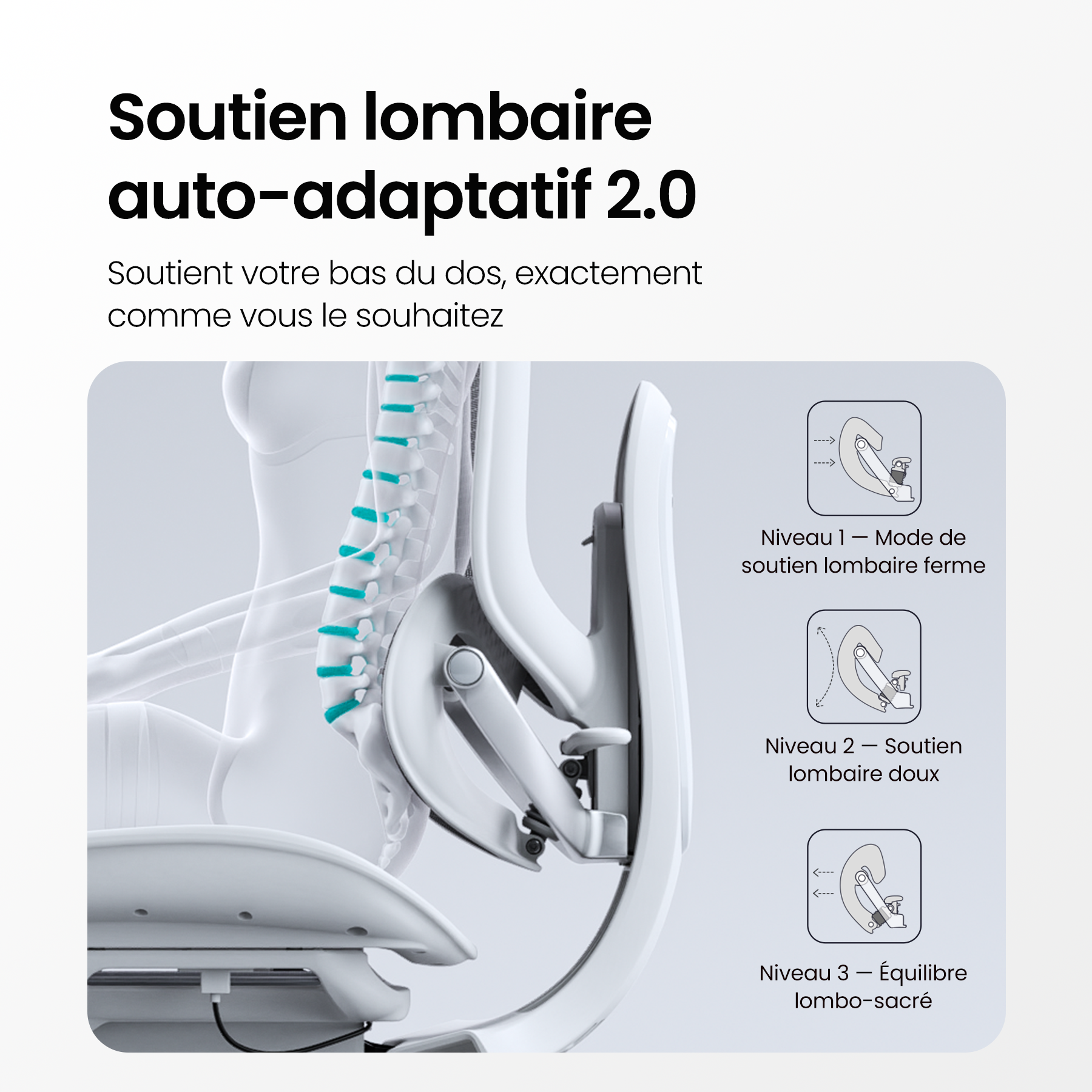 Doro C300 Pro V2 – Fauteuil ergonomique adaptatif full‑body