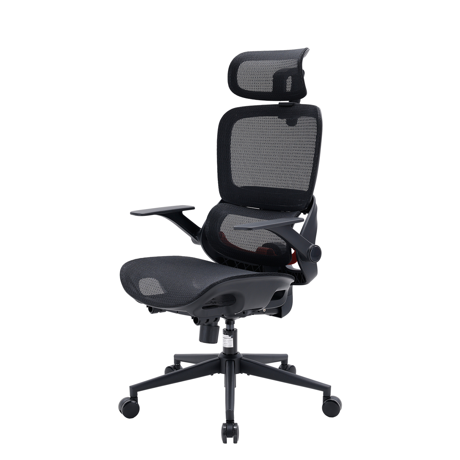 Sihoo B100 Chaise de bureau ergonomique avec accoudoirs relevables