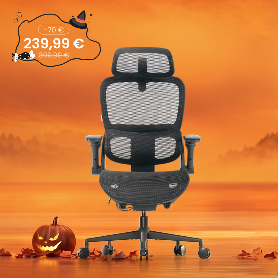 B300 Pro Chaise de bureau ergonomique