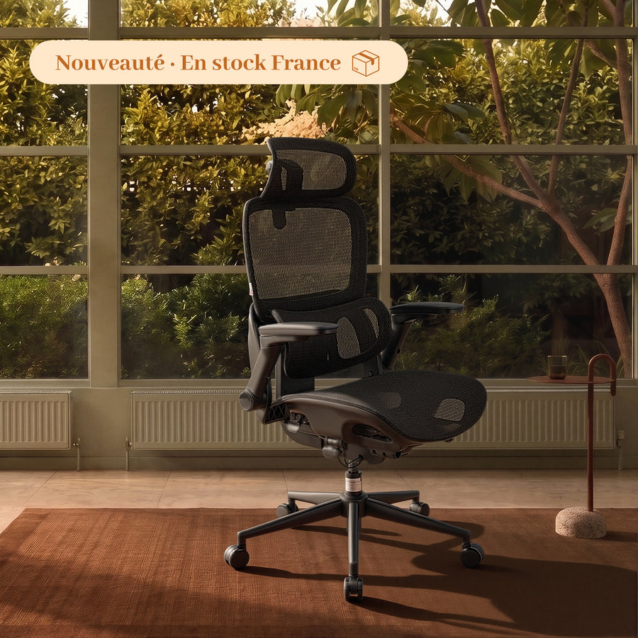 B300 Pro Chaise de bureau ergonomique