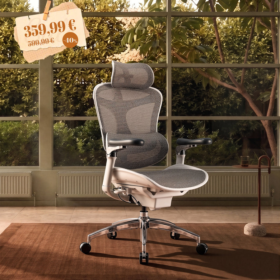 Doro C300 Pro Chaise de bureau ergonomique