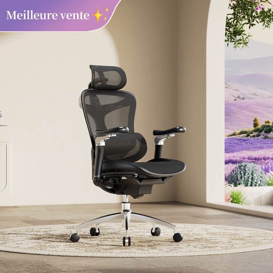 Doro C300 Pro Chaise de bureau ergonomique