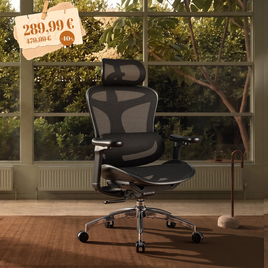 Doro C300 Chaise de bureau ergonomique