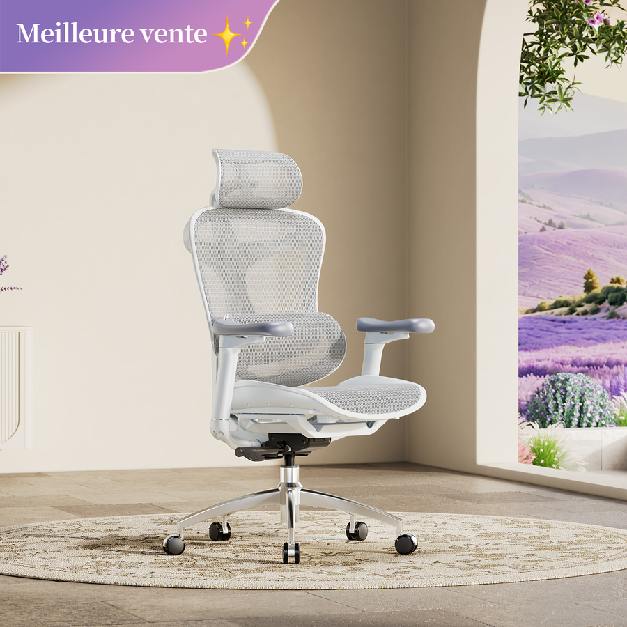 Doro C300 Chaise de bureau ergonomique