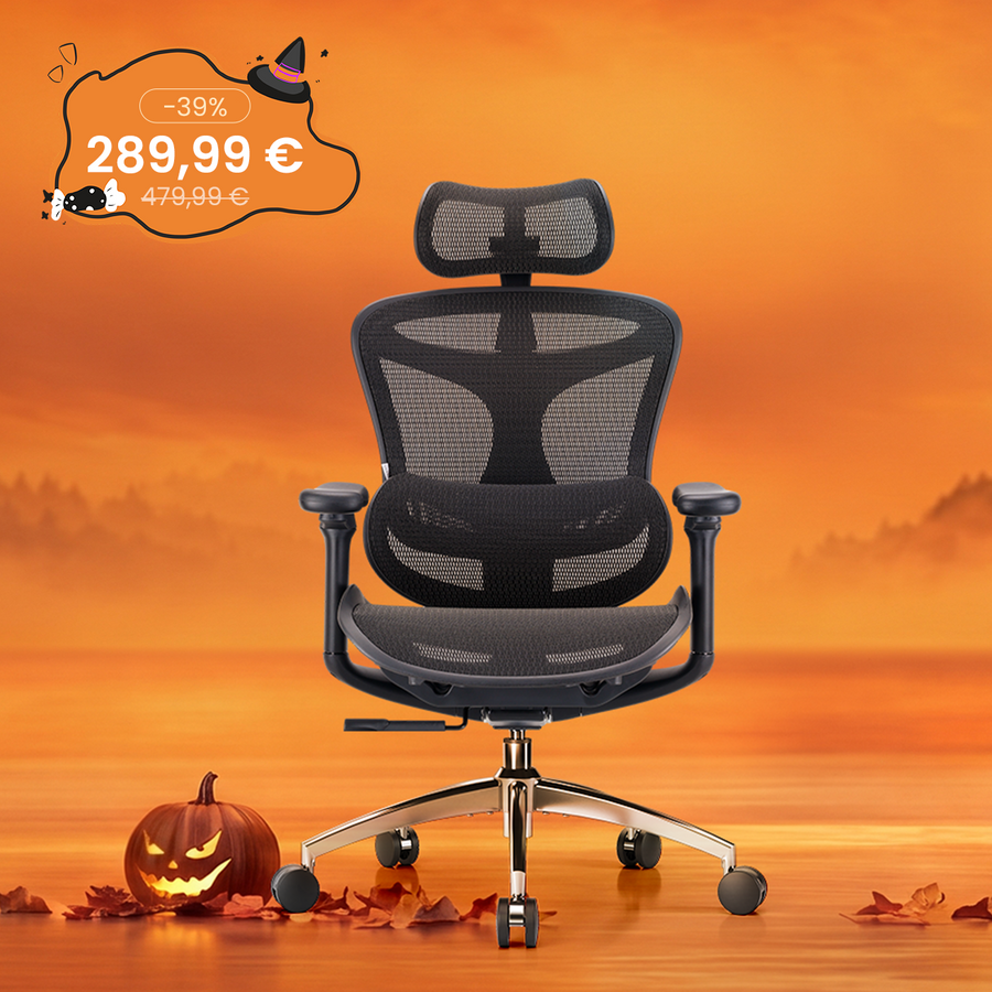 Doro C300 Chaise de bureau ergonomique