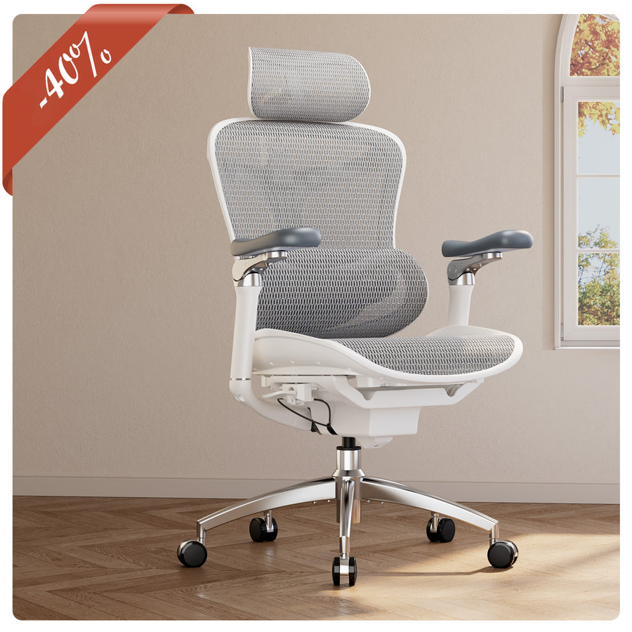 Doro C300 Pro Chaise de bureau ergonomique