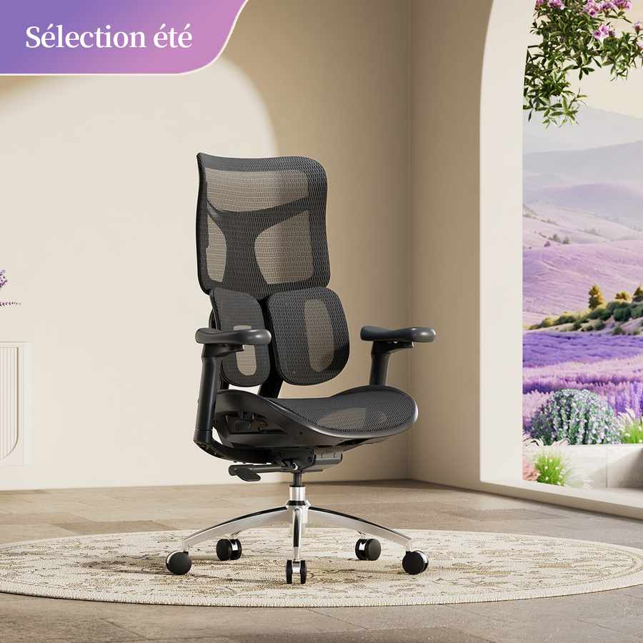 Doro S100 Chaise de bureau ergonomique