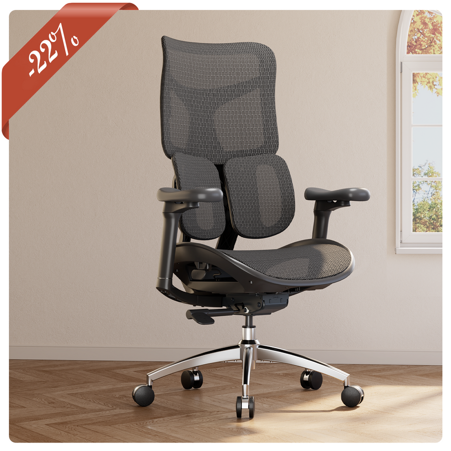Doro S100 Chaise de bureau ergonomique