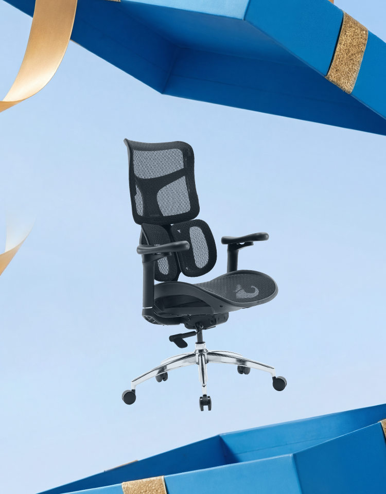 Doro S100 Chaise de bureau ergonomique