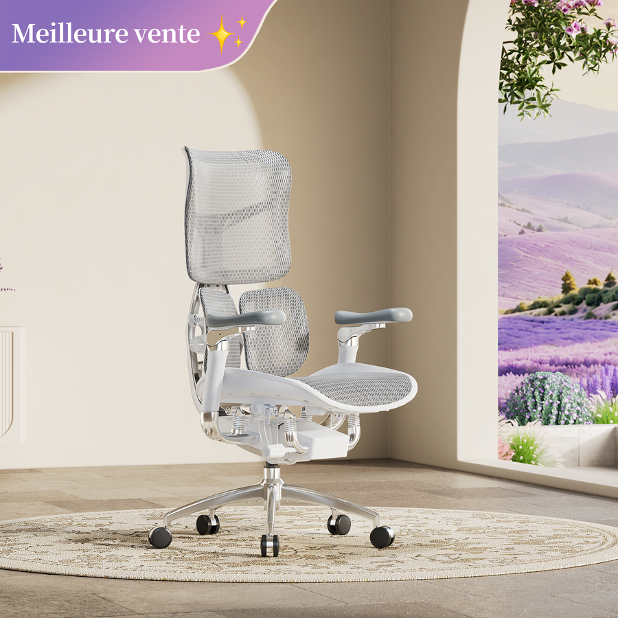 Doro S300 Chaise de bureau ergonomique