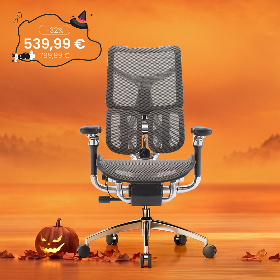 Doro S300 Chaise de bureau ergonomique