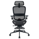 Sihoo B100 Pro Chaise de bureau ergonomique