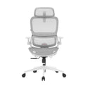 Sihoo B100 Chaise de bureau ergonomique avec accoudoirs relevables